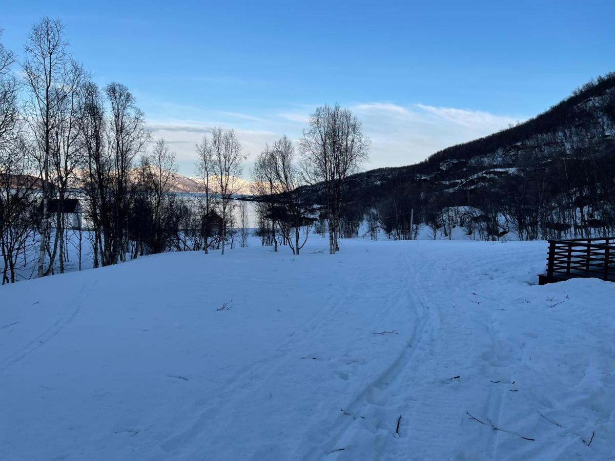 Вилла Aurora Woods Skjervoy Экстерьер фото